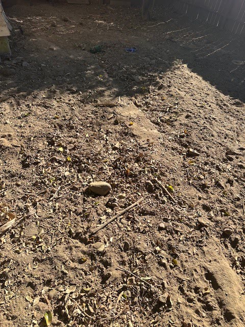 Pasadena yard after concrete removal